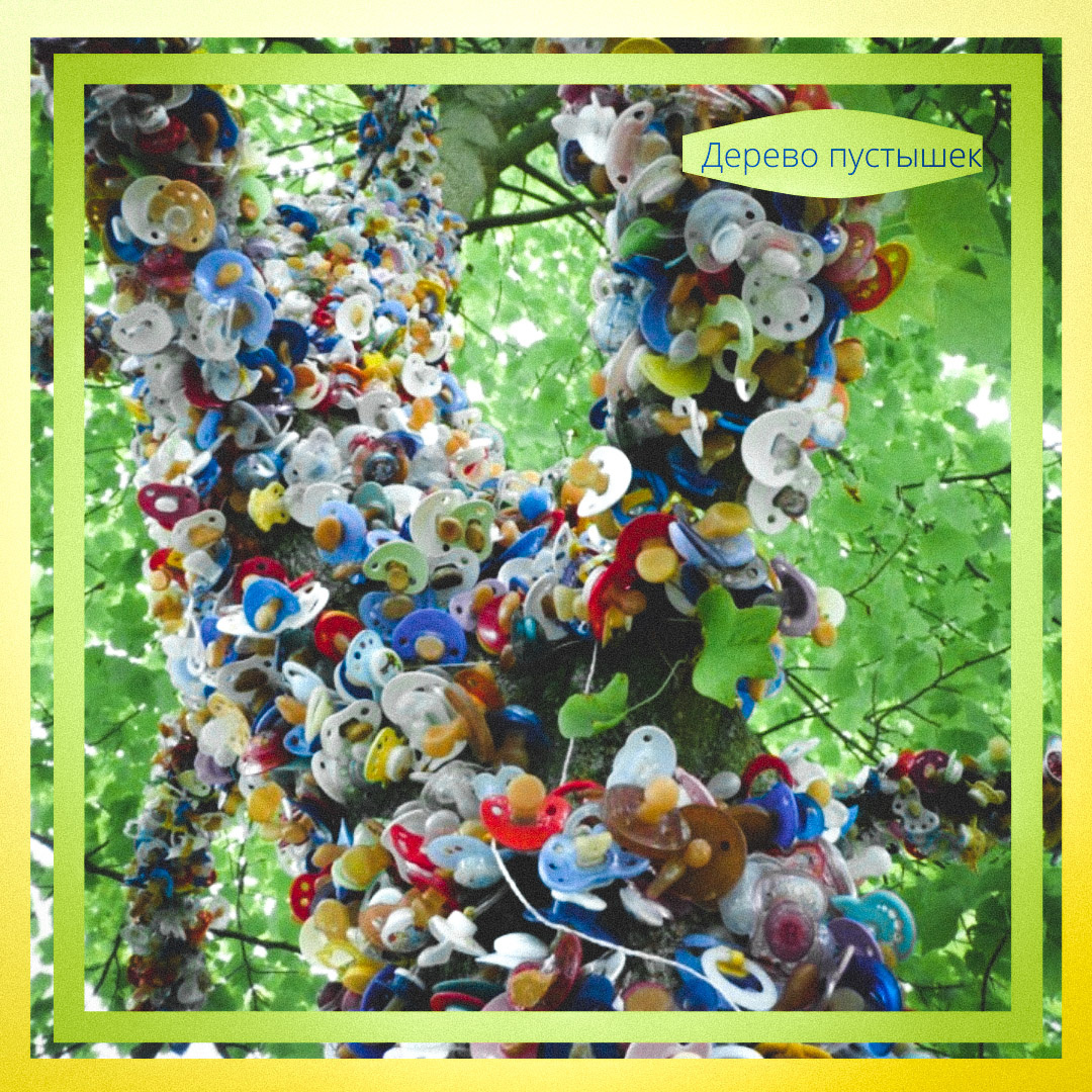 Позже такие деревья выросли и в других странах