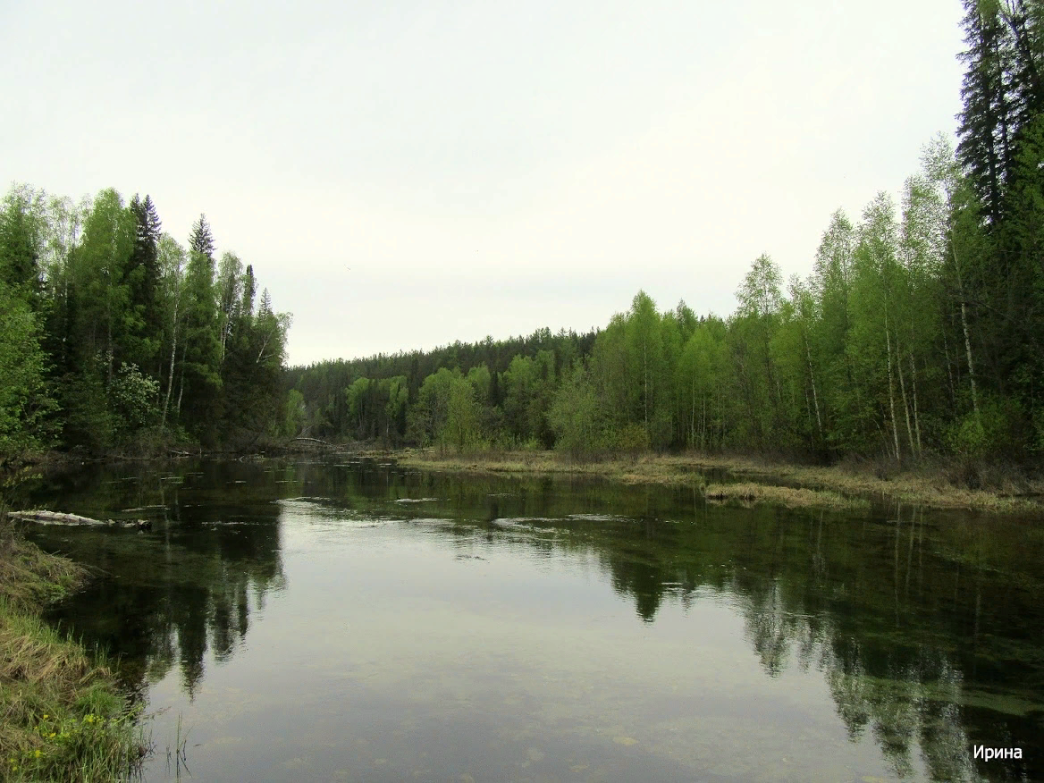 В речушке вода прозрачная, кругом уже трава зеленая, все распускается.