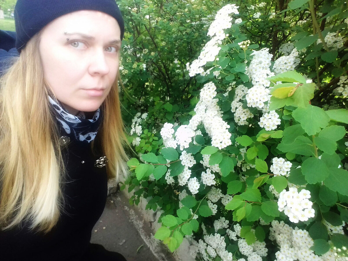 Недавно прогуливалась у себя на районе и нашла этот куст