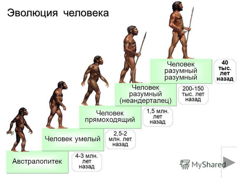 Древний человек для срисовки