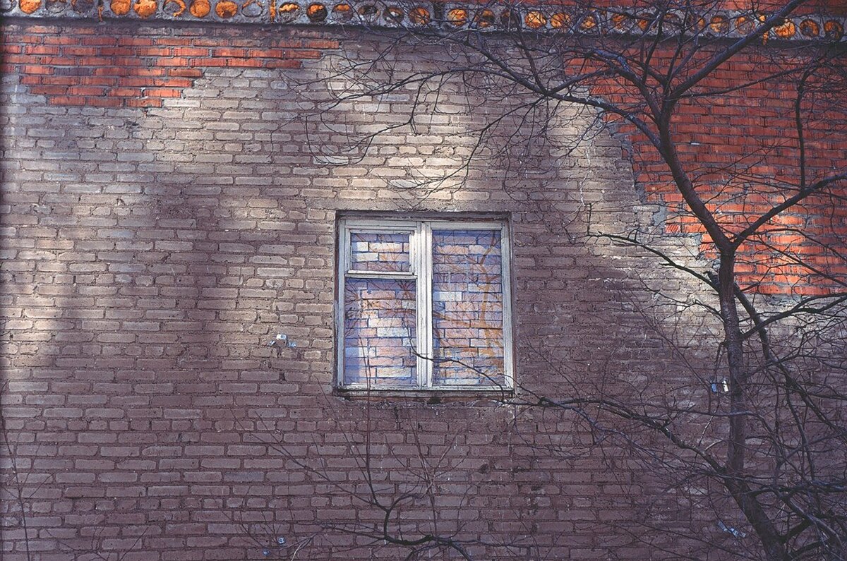 Фото: Сергей Ефремов