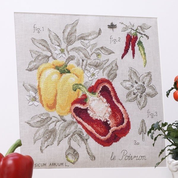 https://crossstitch.pro/catalog/botanika_v_enginger/perets_tude_aux_poivrons_botanicheskiy_etyud_v_enginger_dlya_les_brodeuses_parisiennes/