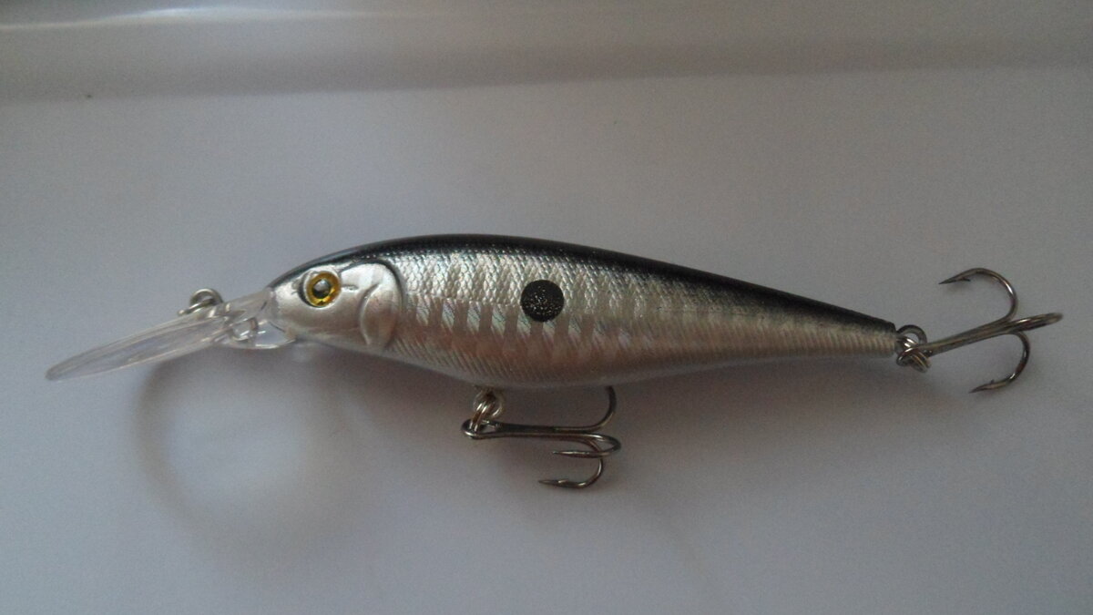 Воблер я не снимал со спиннинга почти весь сезон.К осени воблер был у меня от зубов щуки весь покусан и потерял свой цвет. На следующий сезон я купил себе несколько воблеров в различных расцветках.