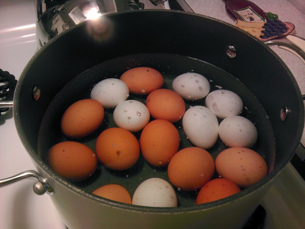 Недавно узнала: оказывается, яйца нужно варить не более 10 минут. Объясняю почему