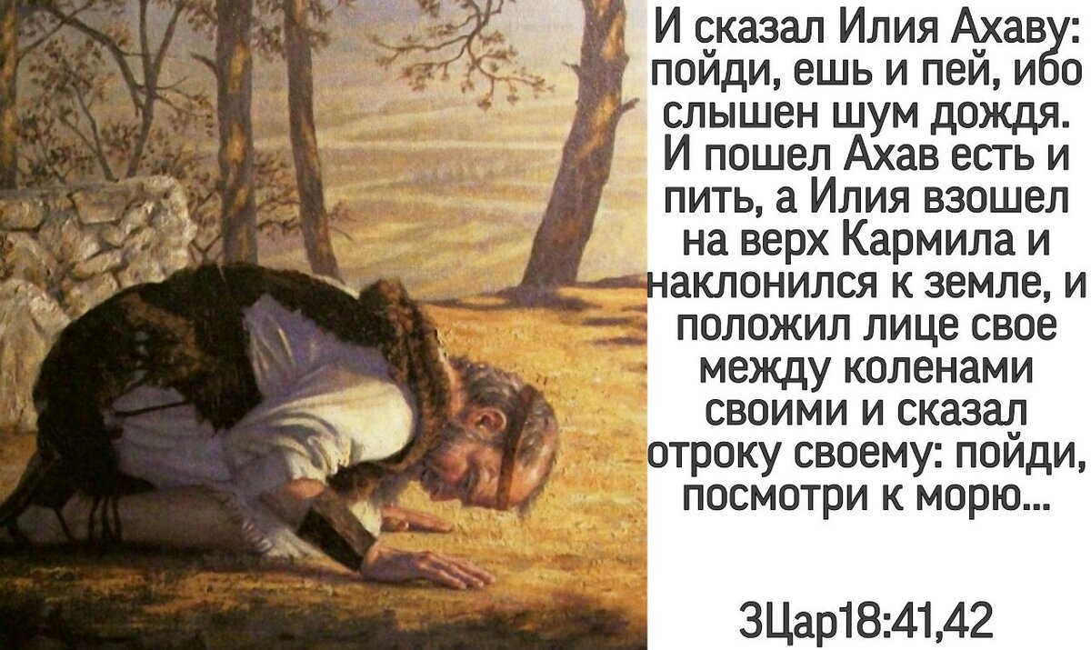 Зачем молиться, если все подчинено Воле Божией? Понимание смысла и ценности молитвы
