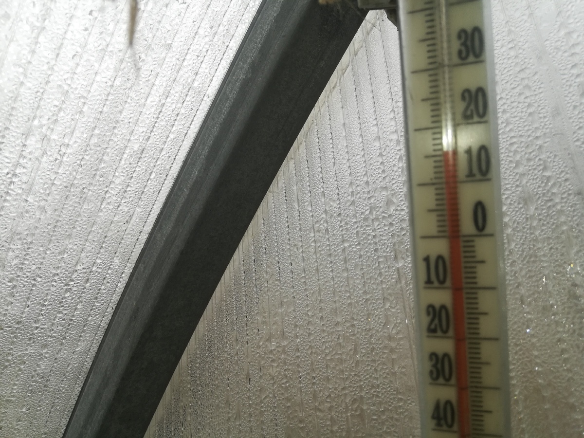 15 градусов по С
