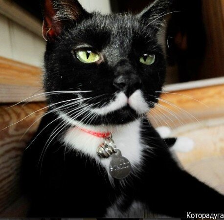  Источник: Pinterest.com