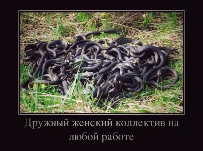 картинка из открытых источников