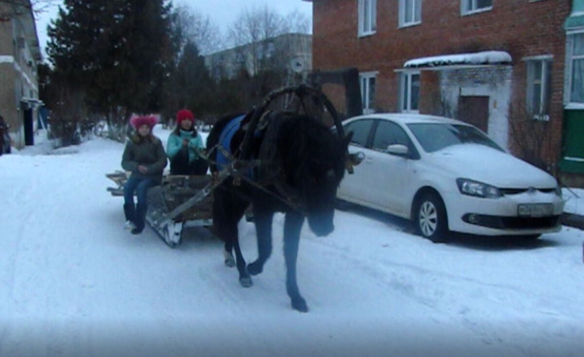 Лошадь, запряженная в сани в деревне
