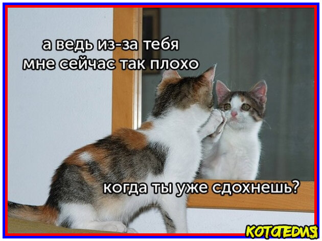 Враг моего врага - мой друг