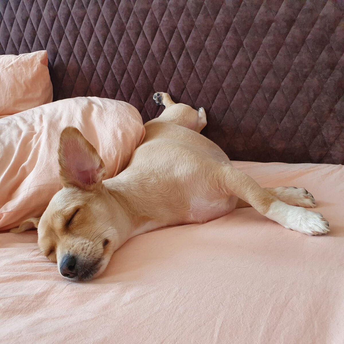 Пора вставать на работу