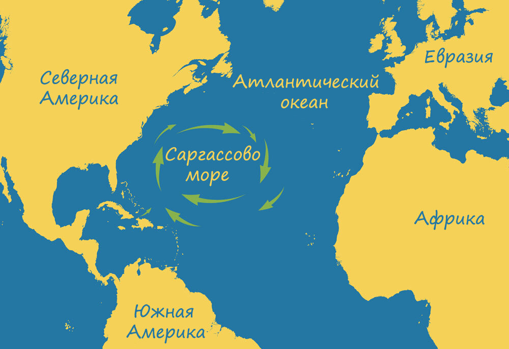 Местоположение Саргассово моря