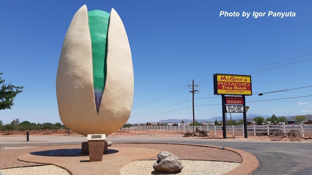 Гигантская фисташка в штате Нью-Мексико, США. Подписывайтесь на канал! Так вы поддержите его и не пропустите новые статьи! Комментарии приветствуются!