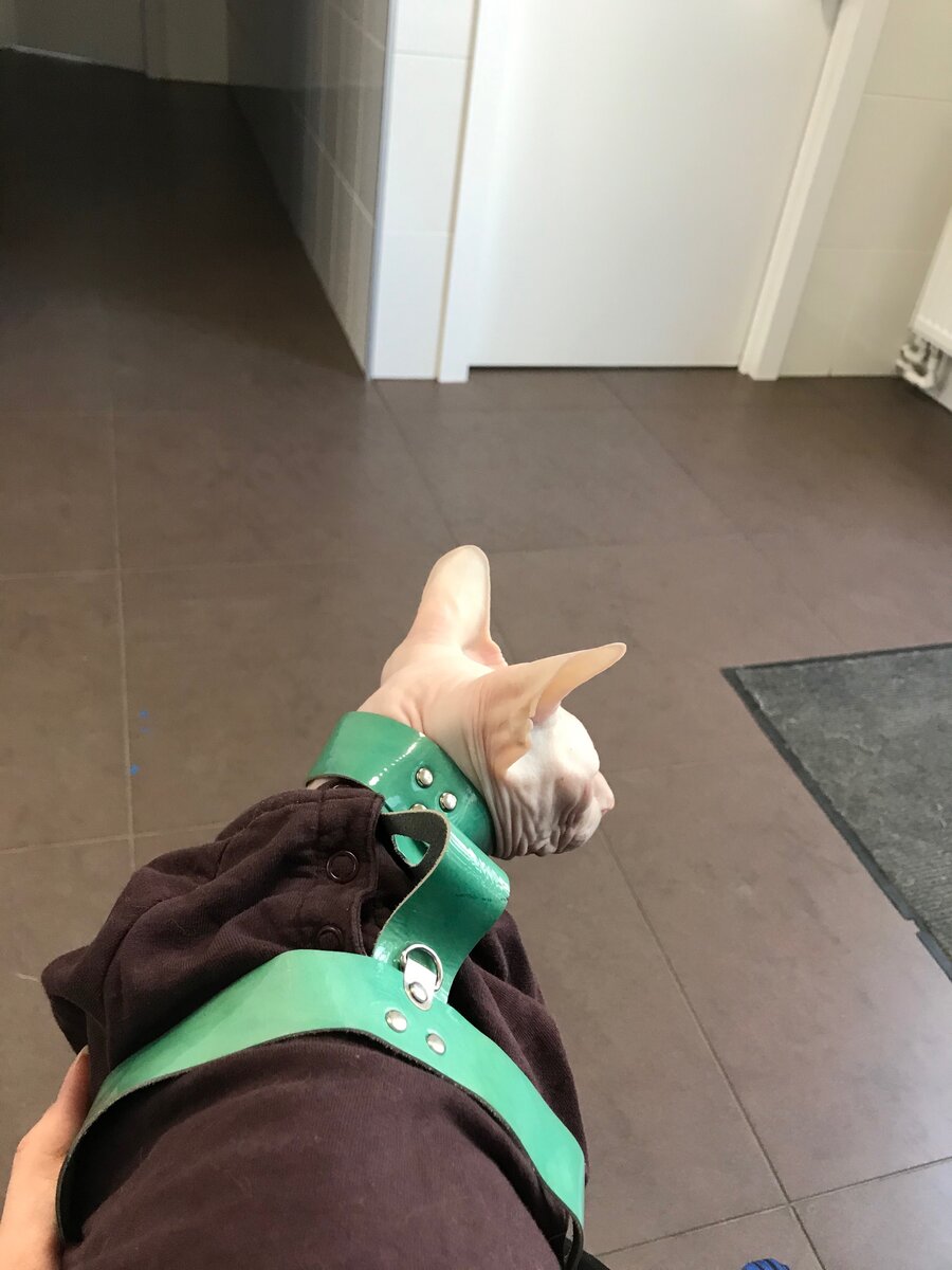 Пациент ждёт приёма 