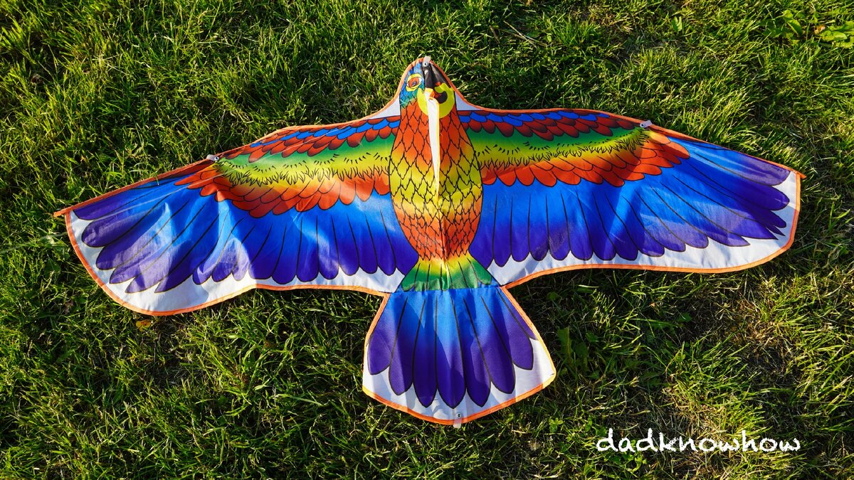 Немного деталей нашего змея – вот такой яркий и красочный