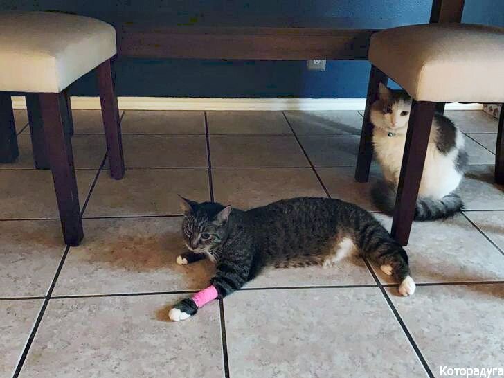 Источник: reddit.com