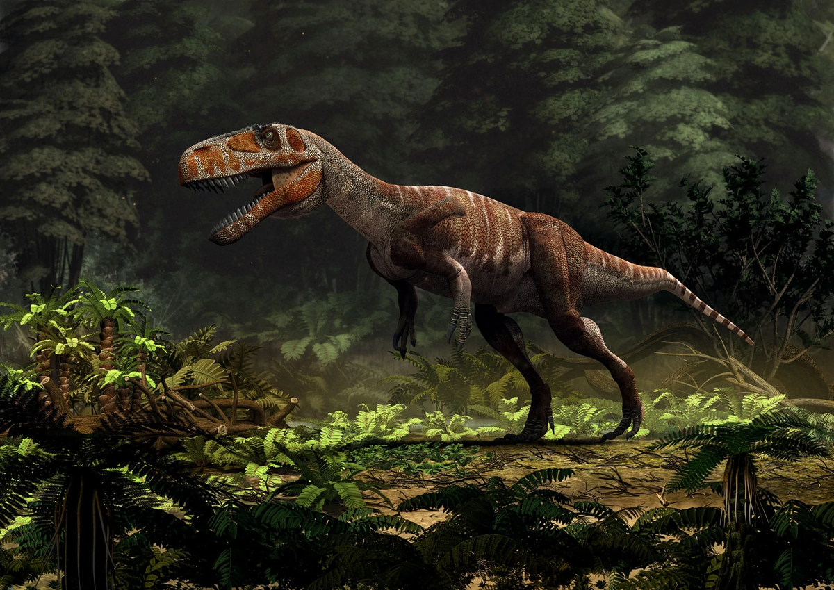 Торвозавр. Torvosaurus tanneri. Торвозавр динозавры Юрского периода. Торвозавр мегалозаврид. Мегалозавр парк Юрского периода.