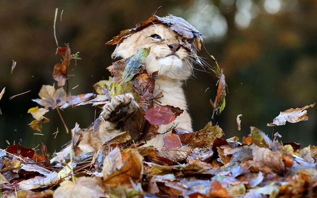 как научиться видеть энергию?