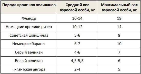 Кролики по возрасту таблица
