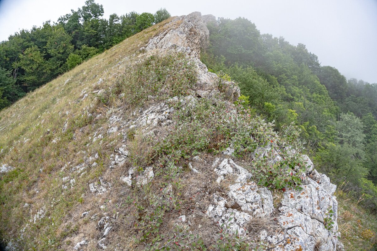 2. Вид на скальный гребень. На самом деле северный склон не такой крутой, как здесь может показаться.