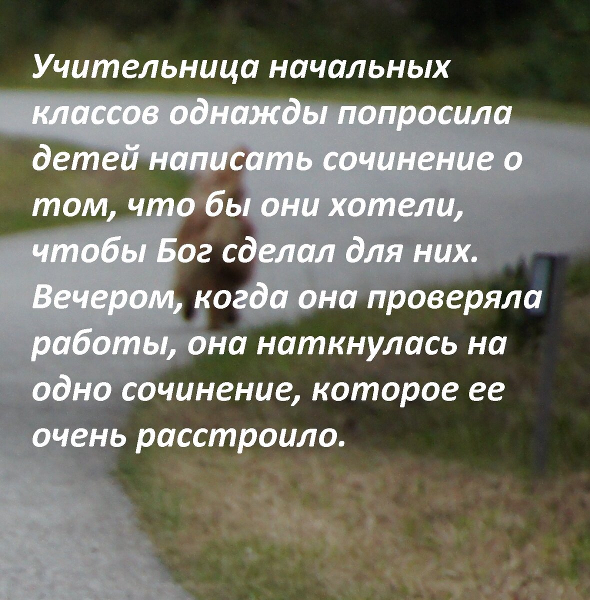 Преврати меня в телевизор. А она со слезами на глазах ответила. - Притча |  Ваши и100рии | Дзен