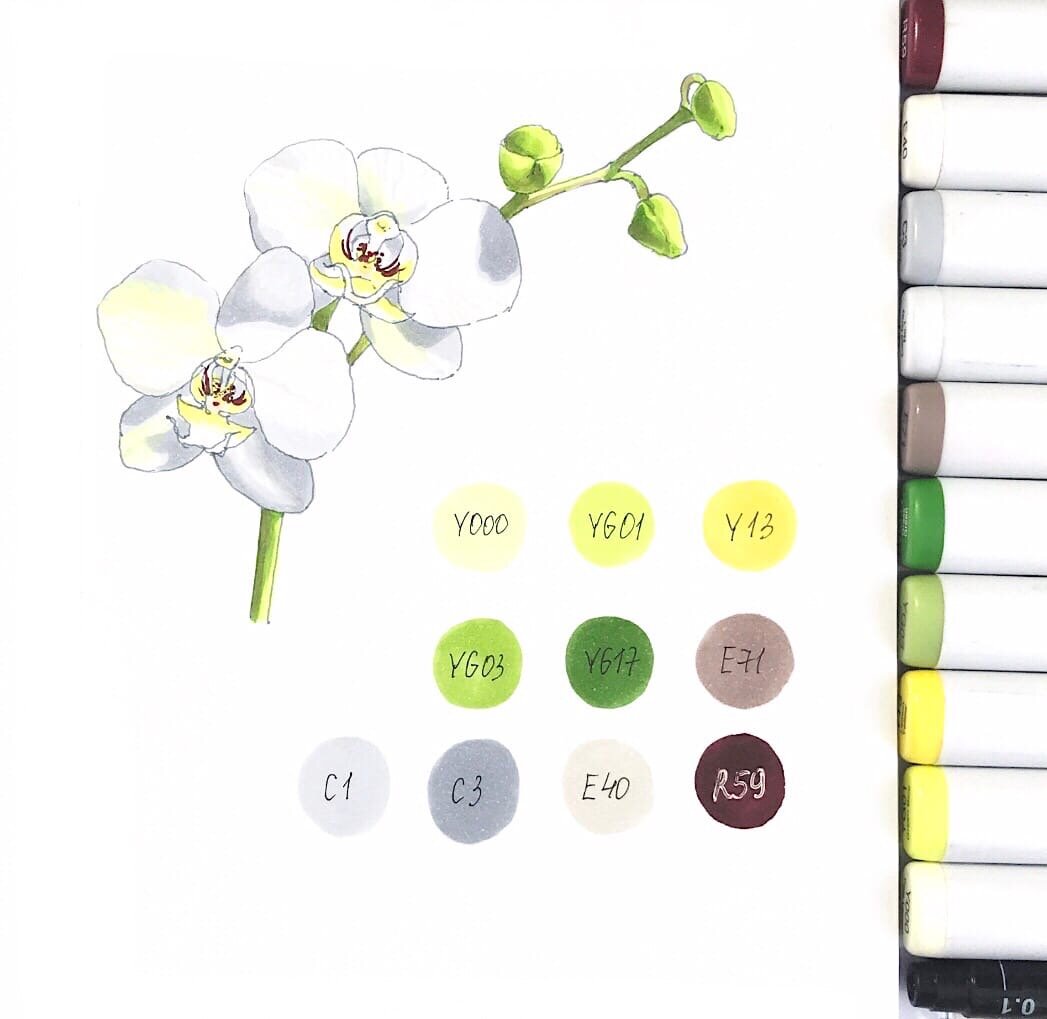 Работа автора. Спиртовые маркеры. Вот такой скетч мы нарисуем. Справа палитра оттенков, которые я использовала.