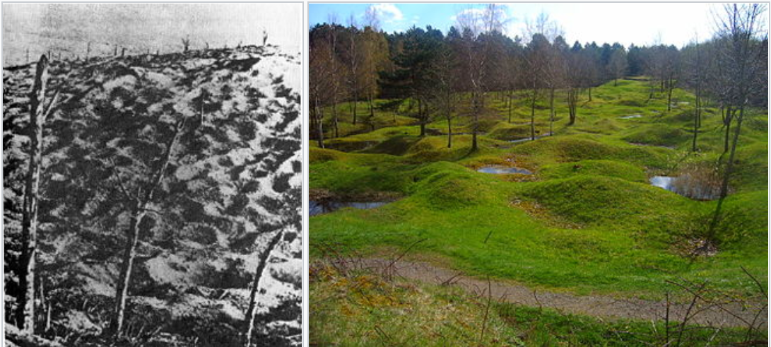Поля Вердена: тогда и сейчас. Земля до сих пор хранит следы разорвавшихся снарядов 
