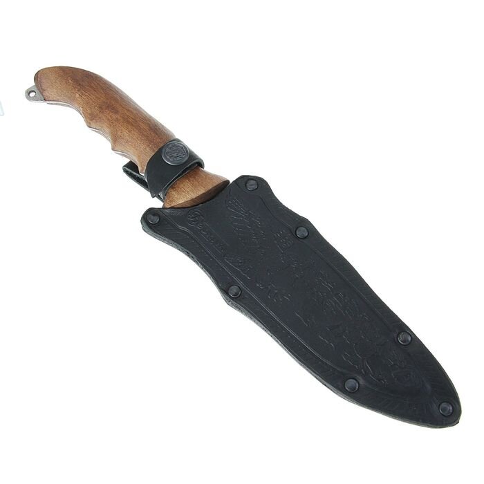 Фото получено из открытых источников