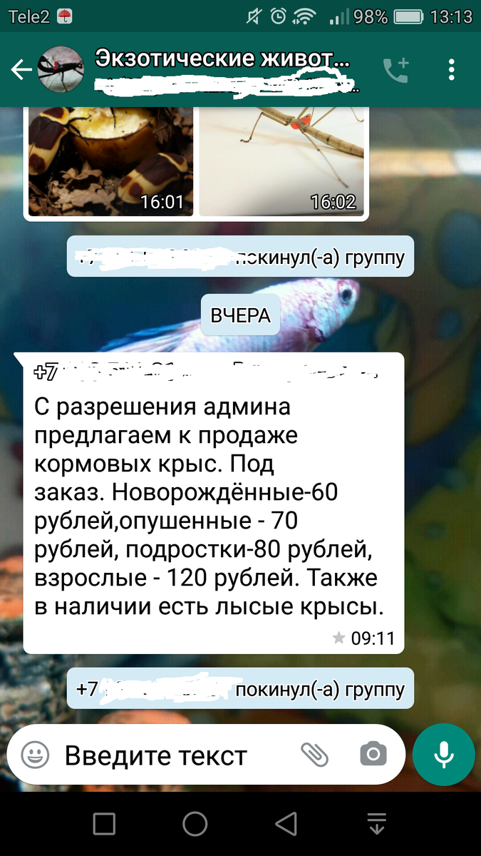 Не