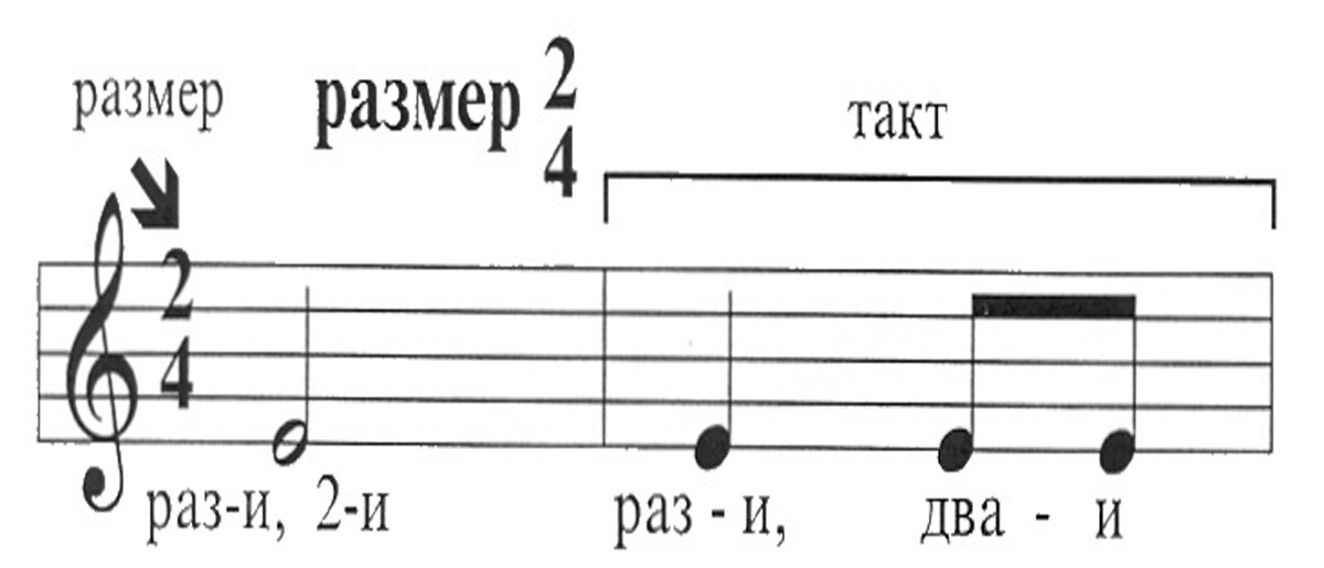 Тактовый размер 4/4. Ритм такт размер. Тактовая черта в музыке это. Сильные и слабые доли сольфеджио 1 класс. Такт тактовая черта размер 2/4.