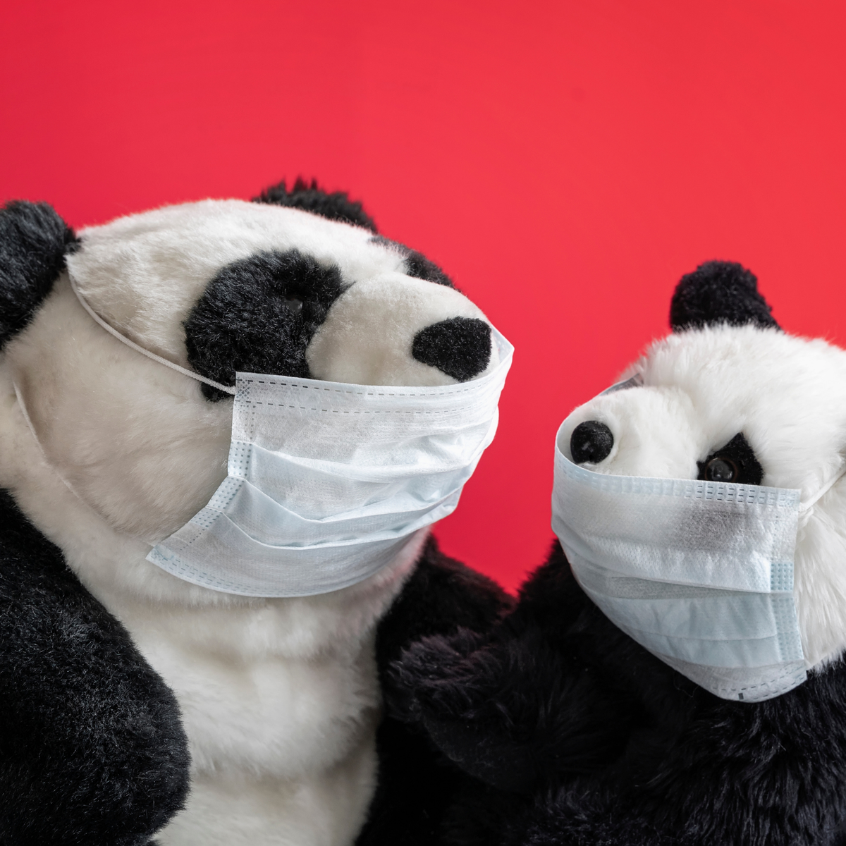By Canva Панды в масках