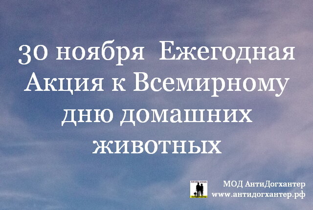 Фото МОД АнтиДогхантер