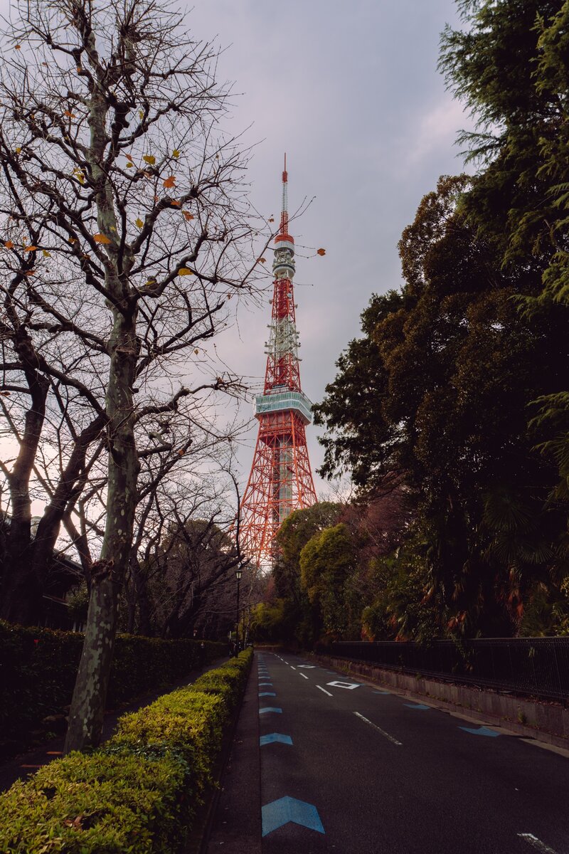  Тokyo Sky Tree,Unsplash.