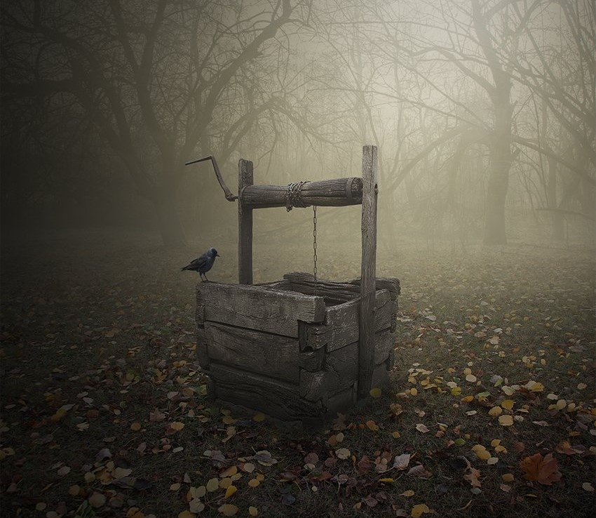 Источник-яндекс картинки