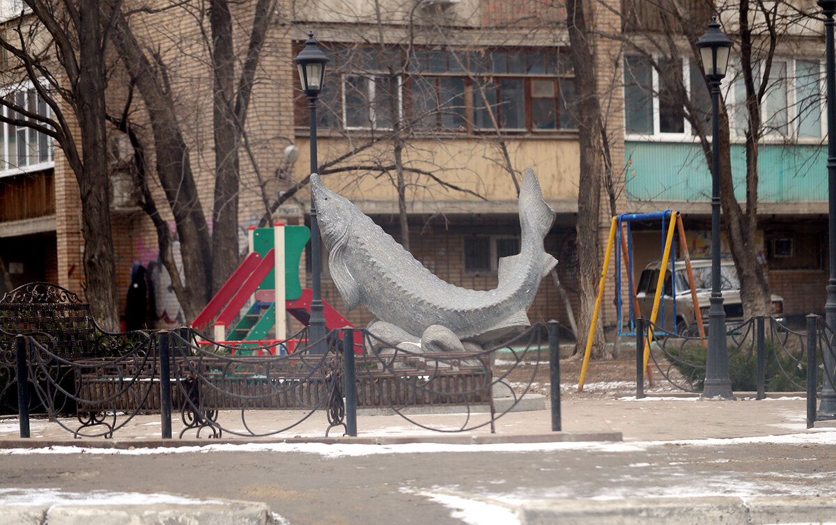 Мечтала побывать в этом городе, а днём во дворы страшно заходить. Ночью там  правят собаки в стаях | Мгновения жизни | Дзен