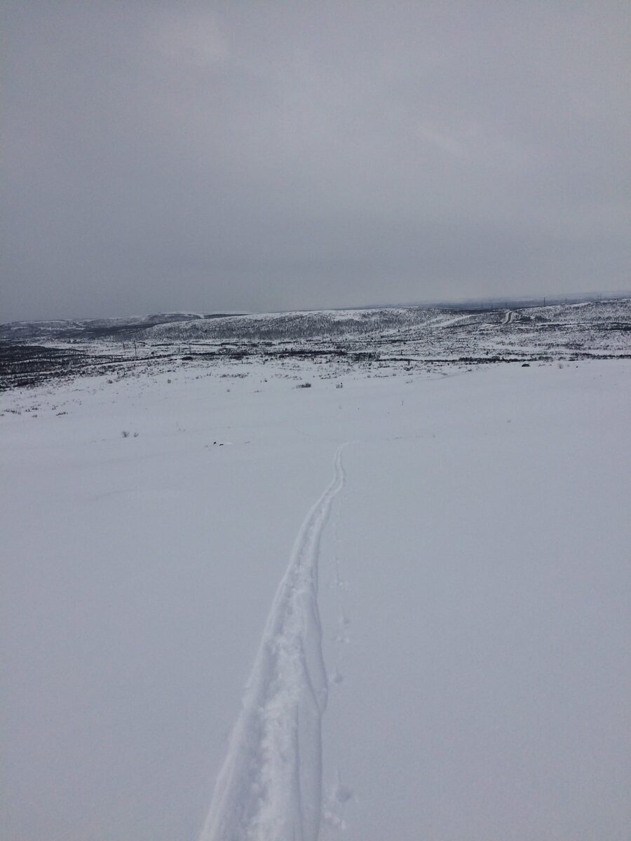 Лыжня в тундре