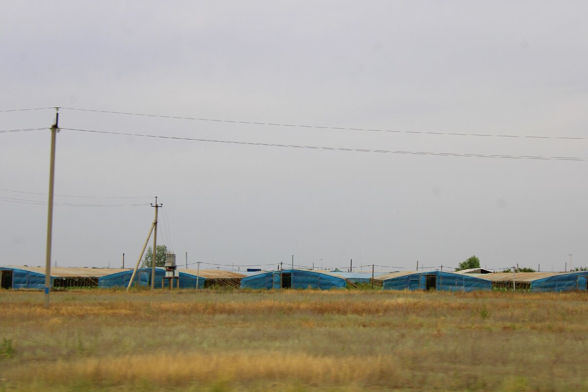 Погода ленинское саратовской обл. Колхозная Ахтуба Волгоградская область. Колхозная Ахтуба ул Лазоревая 8. У Саши, посёлок Колхозная Ахтуба.