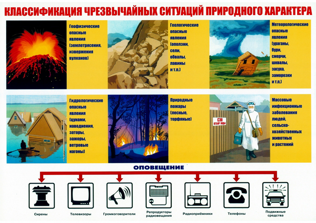 Проект по обж