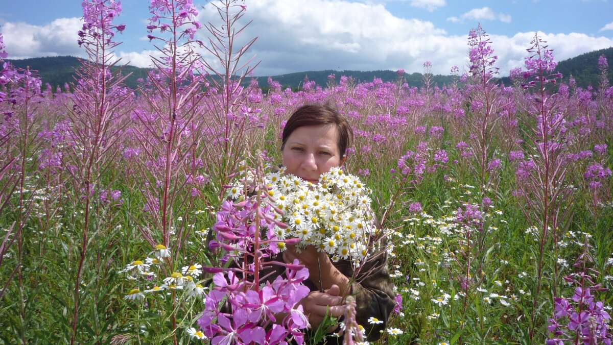 У нас на Урале и в Башкирии большие поля с кипреем