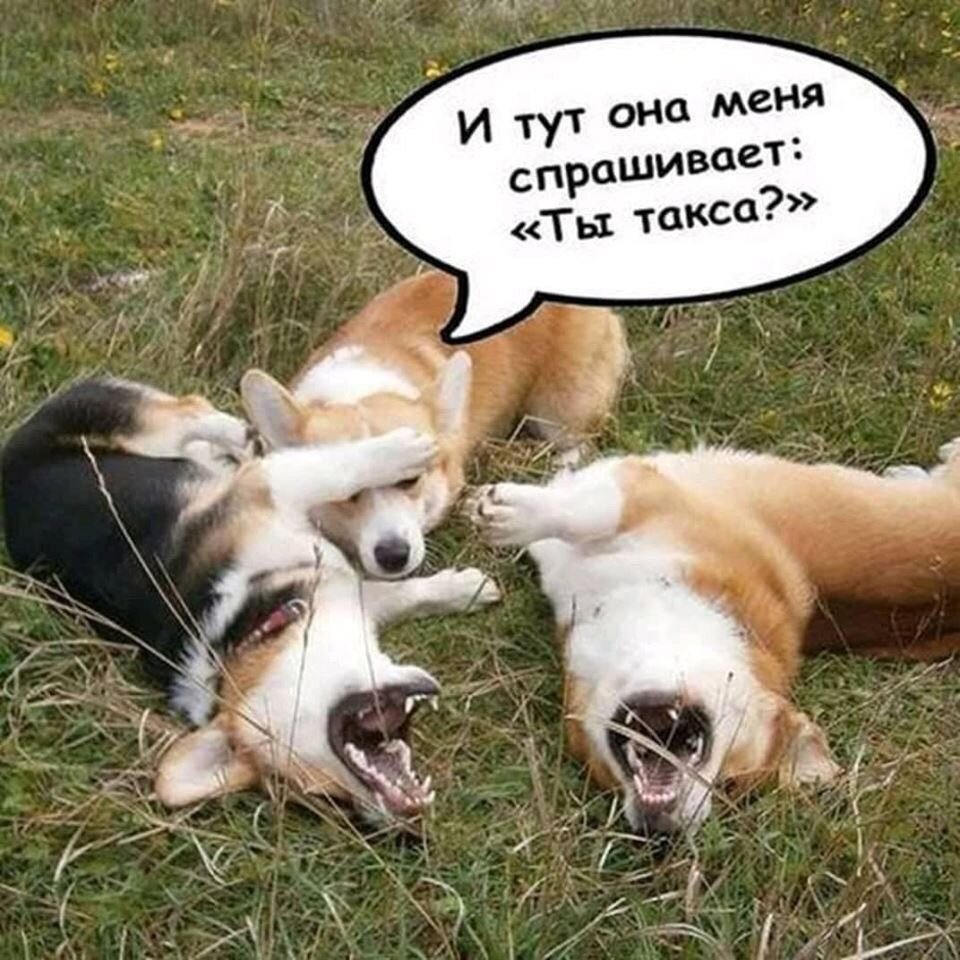 Авторское фото