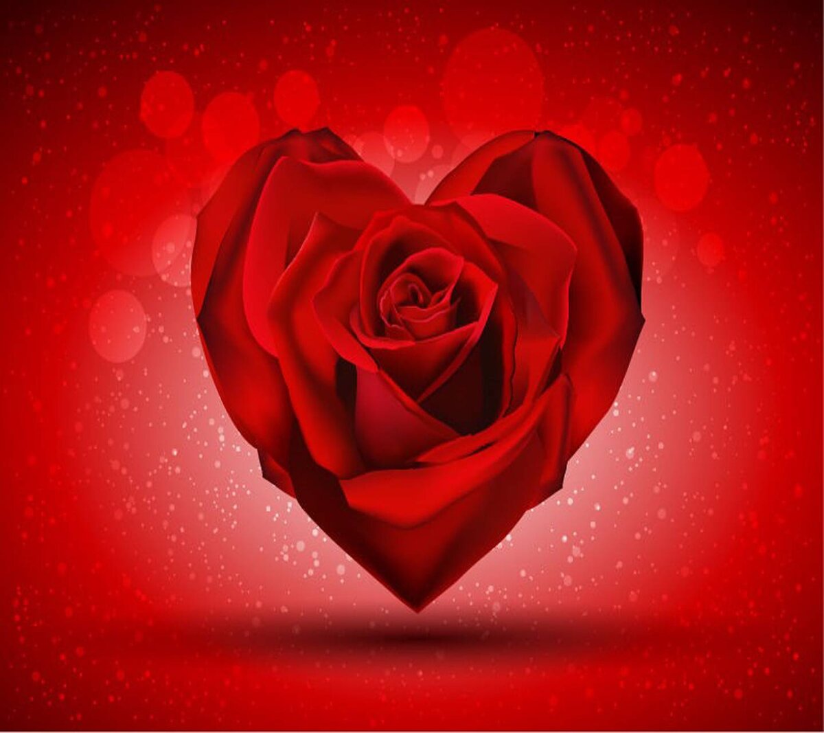 Красные розы сердце