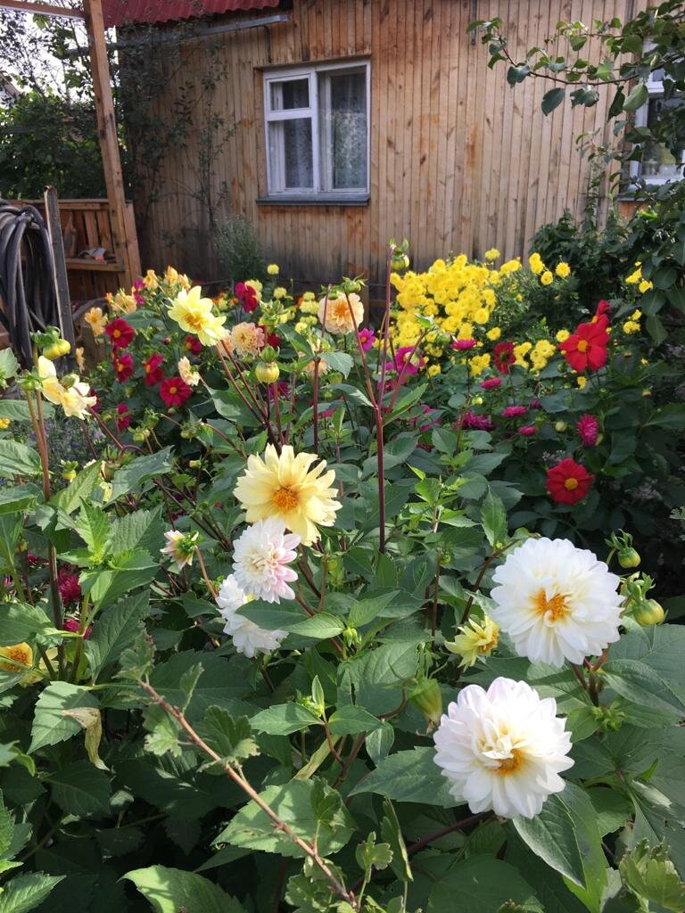 Фото автора.