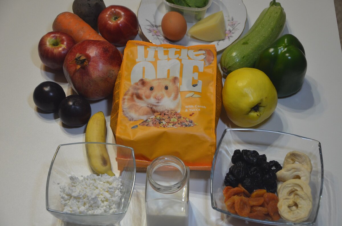 Примерный рацион хомяка в домашних условиях