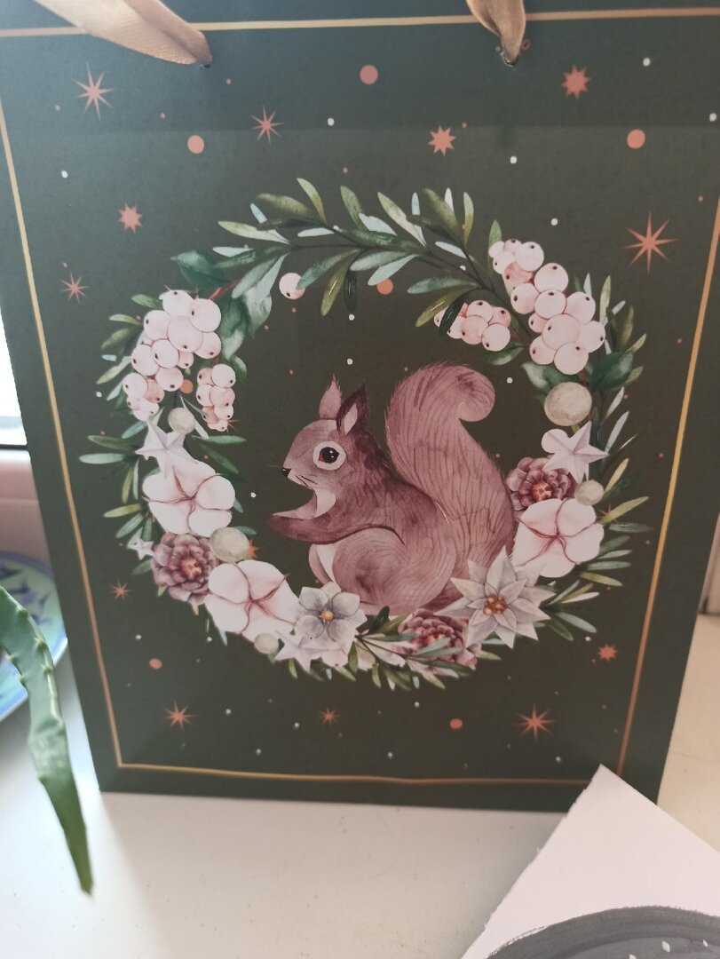 Фото автора: очень красивый подарочный пакет