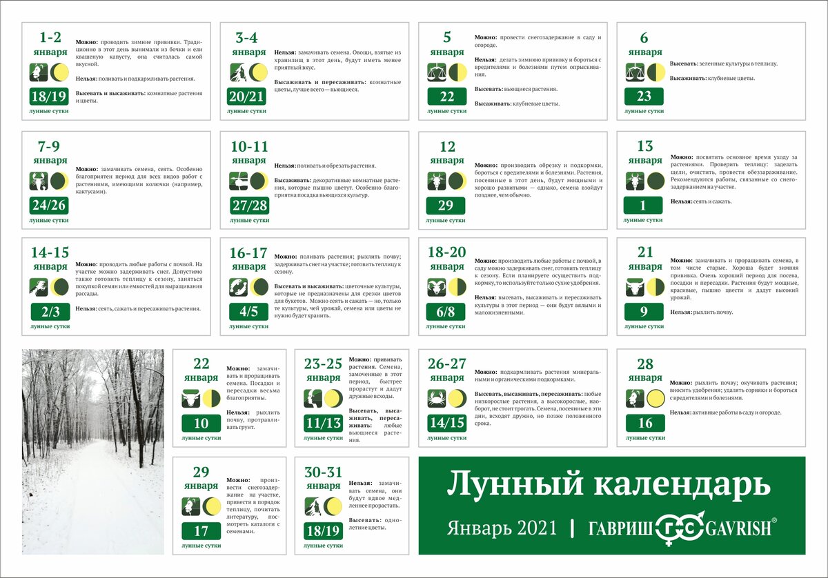 Лунный посевной календарь на 2021 год для садовода и огородника сибири