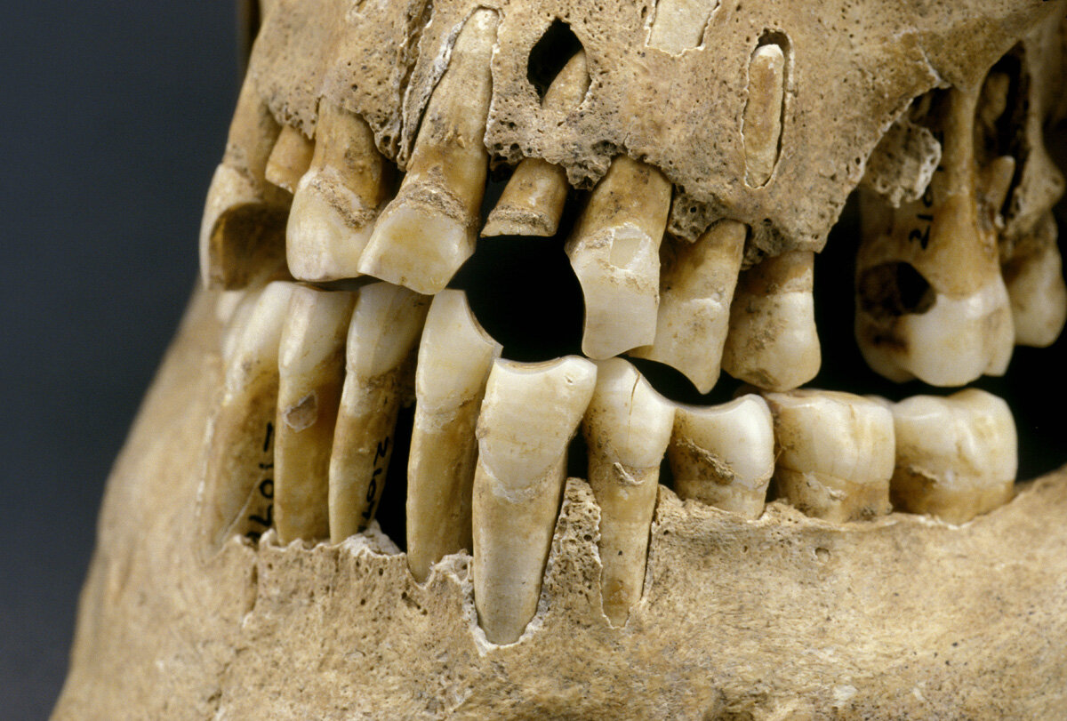 (фото взято из открытых источников)