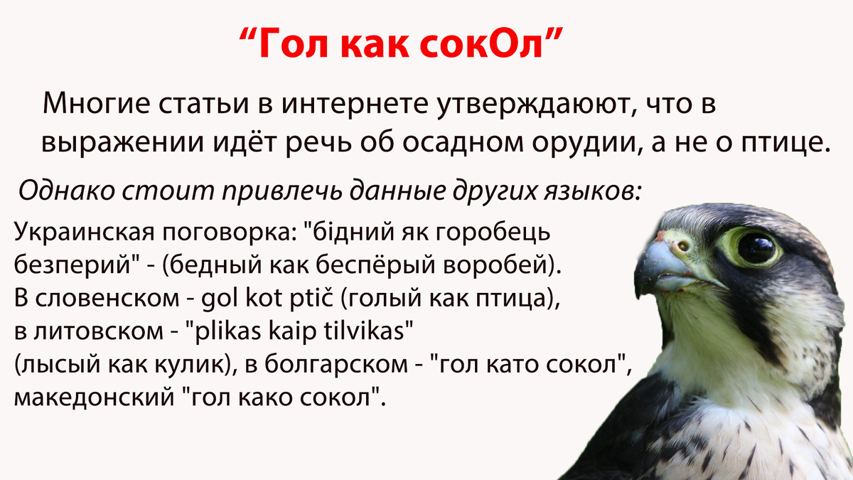 Сравнение человека с птицей - не редкость в балто-славянских языках.