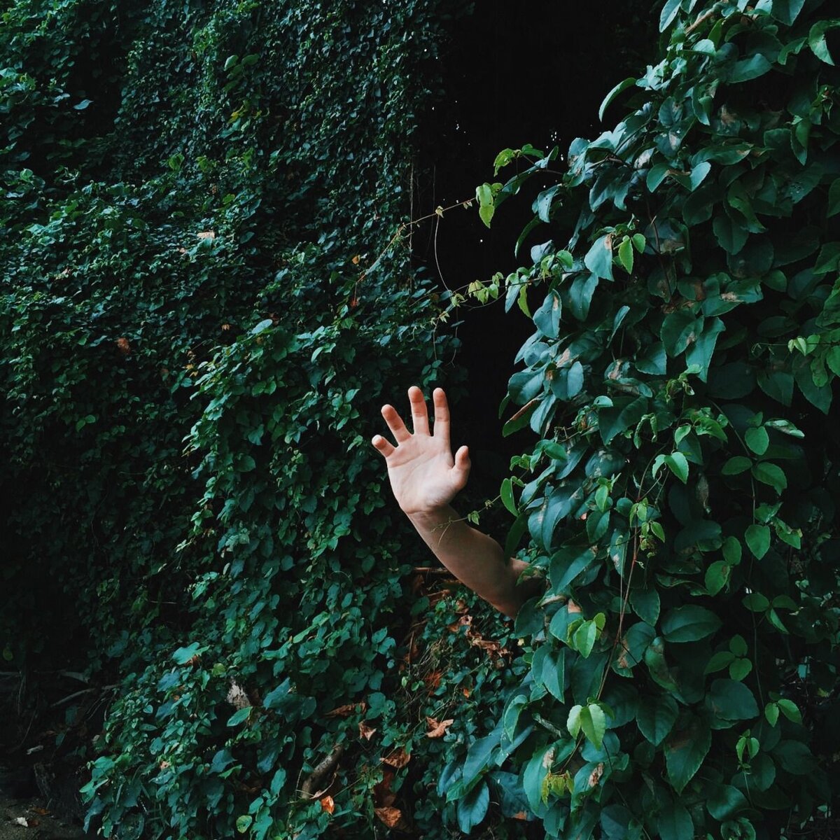 Фото с просторов интернета