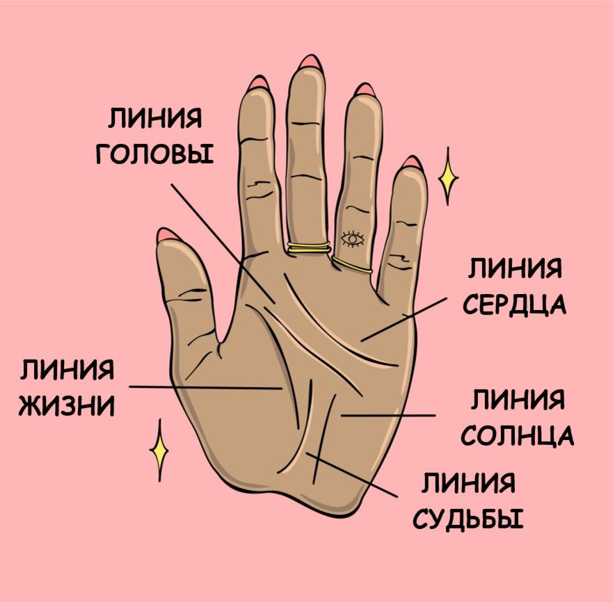 Посмотреть линию жизни на руке фото How to Calculate the Age of a Person Using Palmistry: 6 Steps Palmistry, Palmist