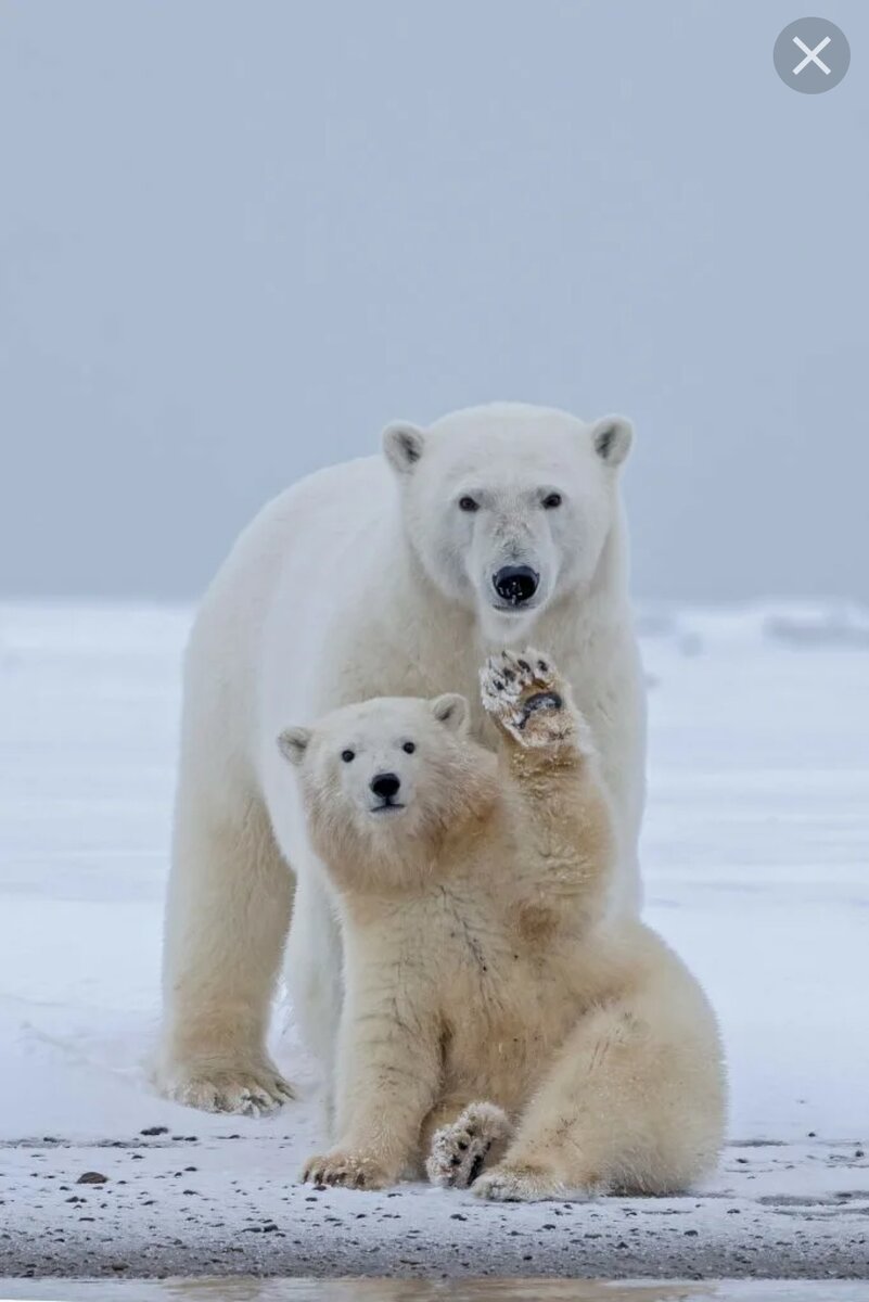 Взято в яндекс картинках. Источник: api.time.com